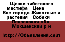 Щенки тибетского мастифа › Цена ­ 80 - Все города Животные и растения » Собаки   . Пензенская обл.,Мокшанский р-н